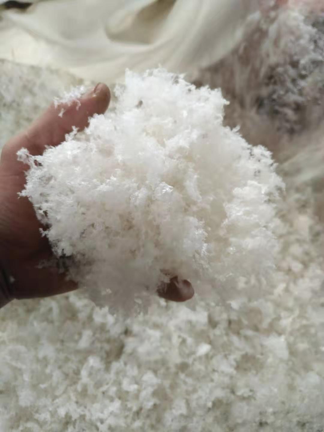 1649989227135438.jpg 微信图片_20200302154257.jpg